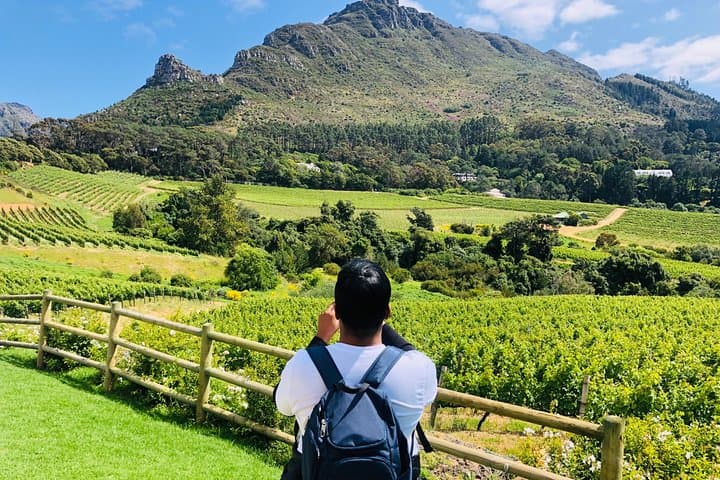 Cape Town Honeymoon 6-Day Itinerary: Penguins, Winelands & Table Mountain photo 6
