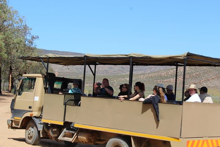 Private Aquila Big 5 Safari from Cape Town — Full-Day Return Transfer photo 5