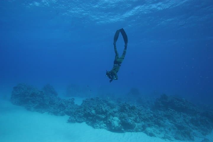 Basic Freediving Course Auckland: Pool Training & SSI Certification photo 6