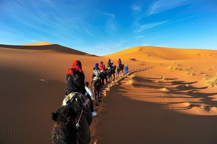 8-Day Morocco Highlights: Imperial Cities, Sahara Dunes & Atlas Mountains (Private Tour from Casablanca) photo 5