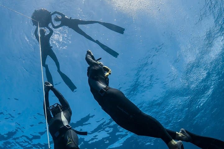 Basic Freediving Course Auckland: Pool Training & SSI Certification photo 3