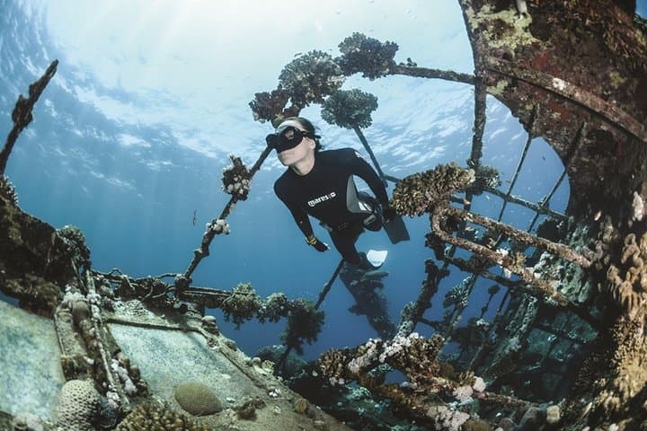 Basic Freediving Course Auckland: Pool Training & SSI Certification photo 4
