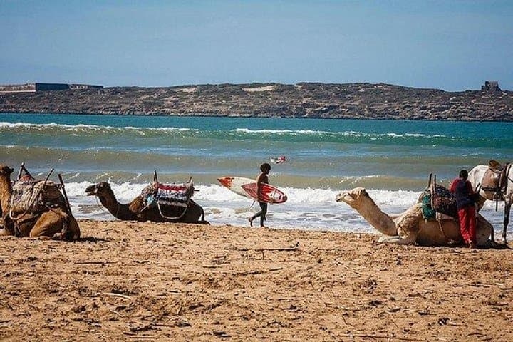 Atlas Mountains and Essaouira: 1-Night Private Tour from Marrakesh photo 5