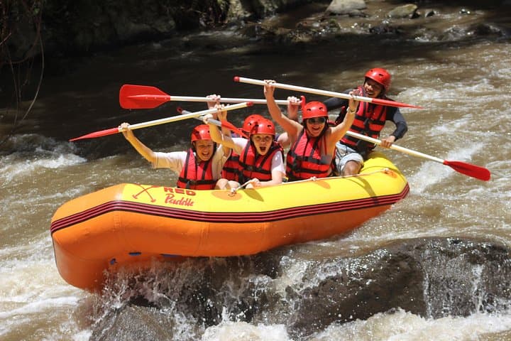 Ayung River White-Water Rafting from Ubud: Half-Day Rapids, Waterfalls & Jungle Views photo 6