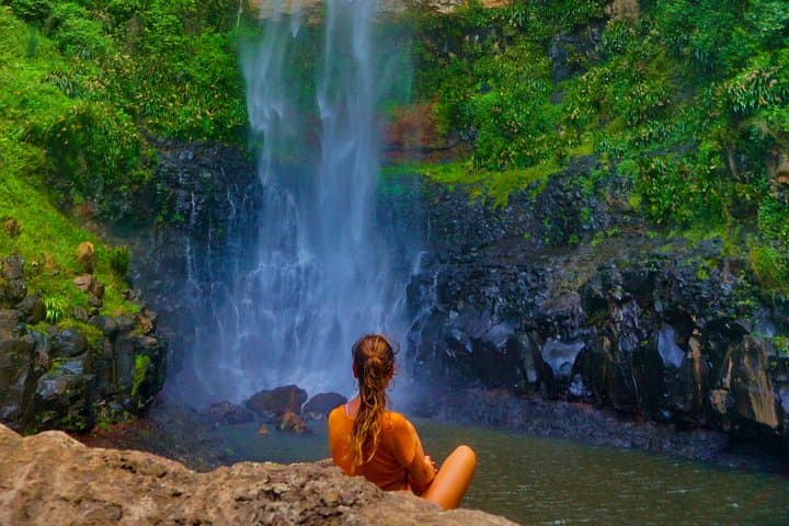 Private Gondwana Rainforest & Waterfalls Tour from Gold Coast