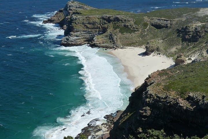 Half-Day Cape Peninsula Private Tour: Cape Point, Penguins & Chapman's Peak photo 3
