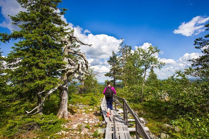 Korouoma Canyon Day Hike from Rovaniemi — Cliffs, Icefalls & Wild Rivers