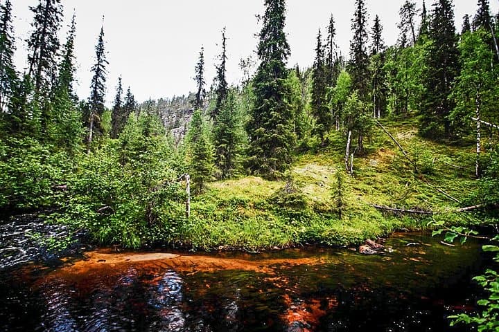 Korouoma Canyon Day Hike from Rovaniemi — Cliffs, Icefalls & Wild Rivers photo 4