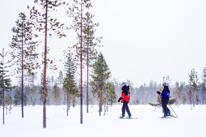 Snowshoe and Ice-Fishing Wilderness Day Trip from Kemi photo 3