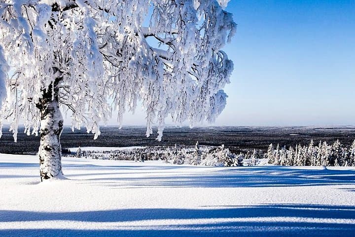 Explore Katkavaara: Arctic Snowmobile Safari Across Finland’s Frozen Wilderness photo 2