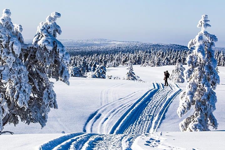 Explore Katkavaara: Arctic Snowmobile Safari Across Finland’s Frozen Wilderness