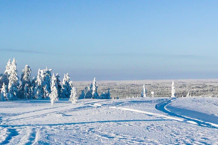 Explore Katkavaara: Arctic Snowmobile Safari Across Finland’s Frozen Wilderness photo 5