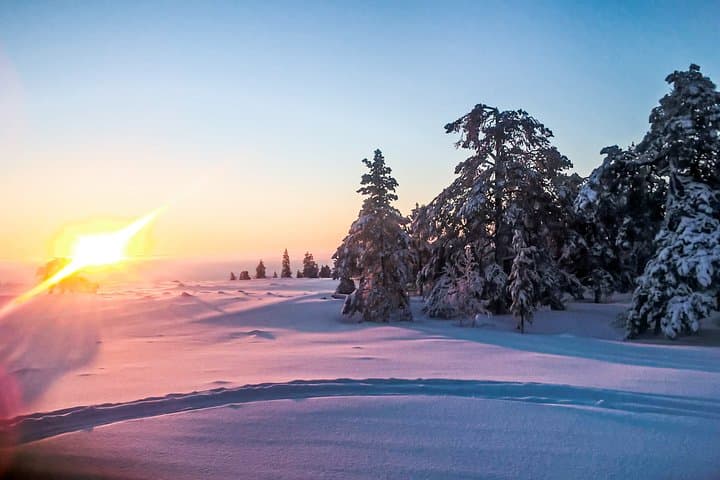 Snowmobile Safari in Lapland: Exploring Rovaniemi’s Winter Wilderness photo 6