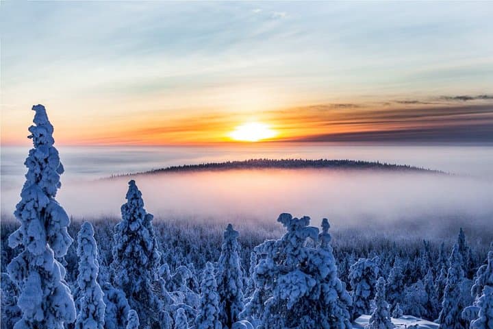 Further to the Wilderness: Rovaniemi Solo Snowmobile Safari