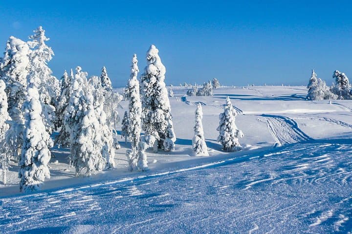 Snowmobile Safari on the Tundra: Exploring Lapland’s Frozen Wilderness photo 5
