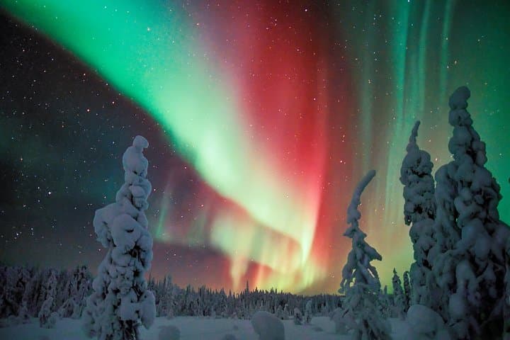 Kemi Northern Lights Snowmobile Safari — Evening Aurora Drive photo 3
