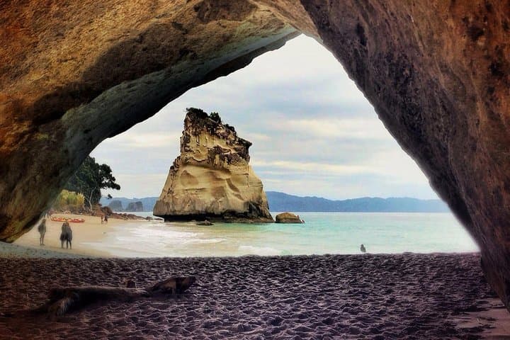 Coromandel Peninsula Discovery: Cathedral Cove, Hot Water Beach & Private Tour from Auckland photo 5