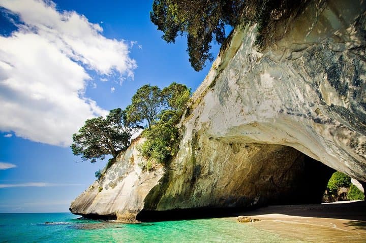 Coromandel Peninsula Discovery: Cathedral Cove, Hot Water Beach & Private Tour from Auckland photo 2