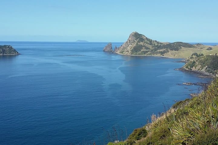 Coromandel Peninsula Discovery: Cathedral Cove, Hot Water Beach & Private Tour from Auckland photo 6