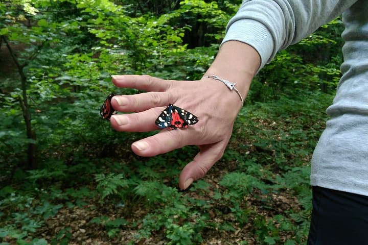 Blue Stones Nature Park Day Hike & Wine Tasting from Sliven photo 4