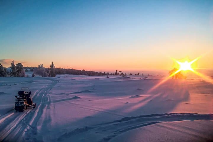 Rovaniemi Afternoon Snowmobile Safari: Lapland Nature Adventure photo 2