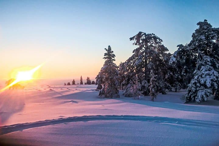 Morning Snowmobile Safari in Rovaniemi — Explore Lapland on a Lynx photo 6