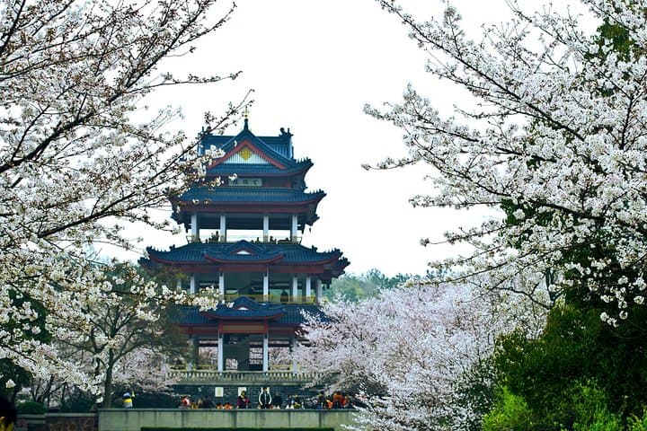 Wuxi Lingshan Grand Buddha & Tai Lake Private Day Tour — Culture, Views, Cherry Blossoms photo 3