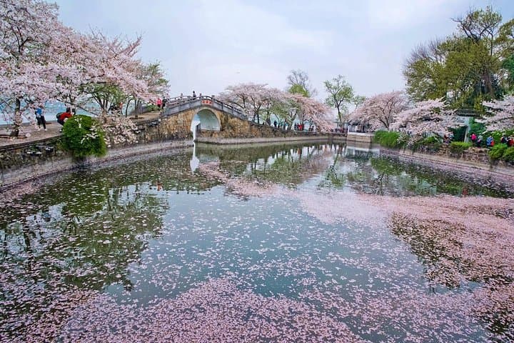 Wuxi Lingshan Grand Buddha & Tai Lake Private Day Tour — Culture, Views, Cherry Blossoms photo 2