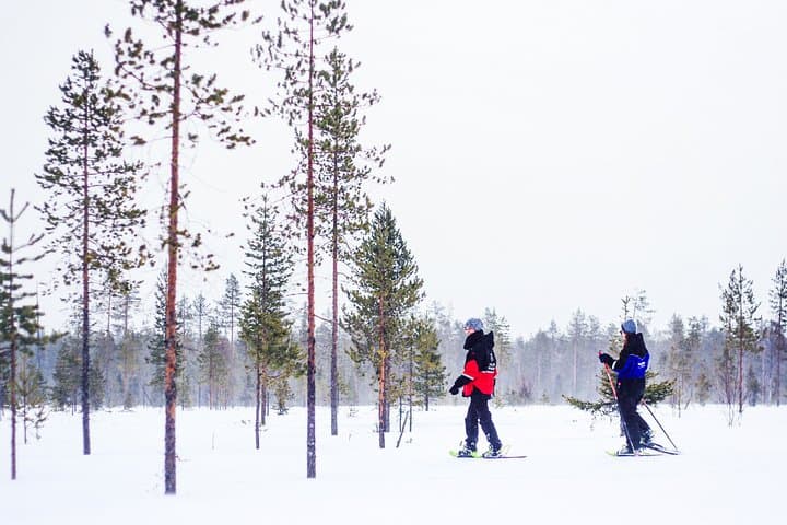 6-Hour Snow Adventure Day in Rovaniemi: Multi-Activity Lapland Safari