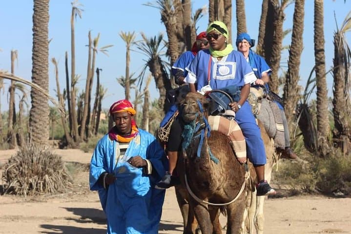 Sunset Camel Ride in Marrakech's Palmeraie — Mint Tea & Atlas Views