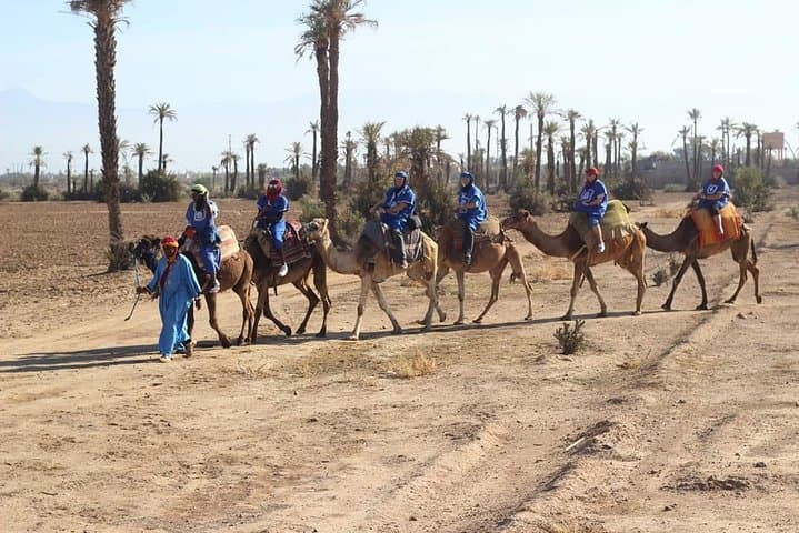 Sunset Camel Ride in Marrakech's Palmeraie — Mint Tea & Atlas Views photo 5