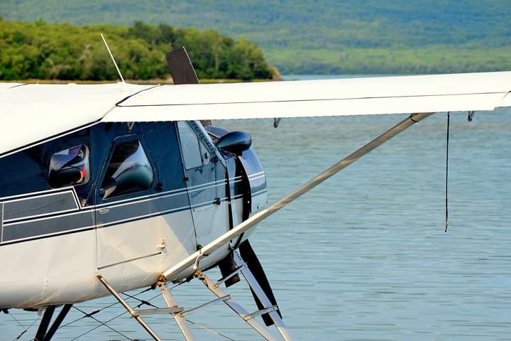 Katmai & Lake Clark Bear-Viewing Flight from Homer — Two-Park Wilderness Adventure photo 4