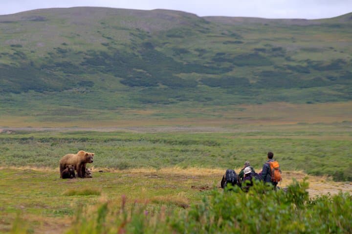 Katmai & Lake Clark Bear-Viewing Flight from Homer — Two-Park Wilderness Adventure photo 5