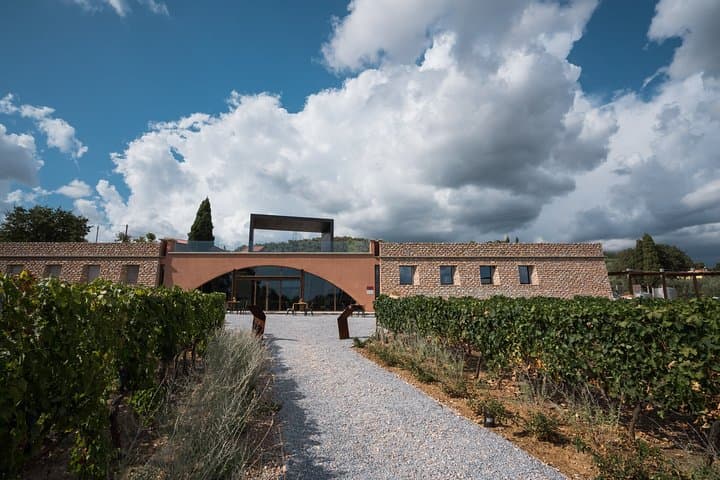Carriage Through Suvereto's Vineyards: Organic Wine Tasting at Casadei Estate photo 2