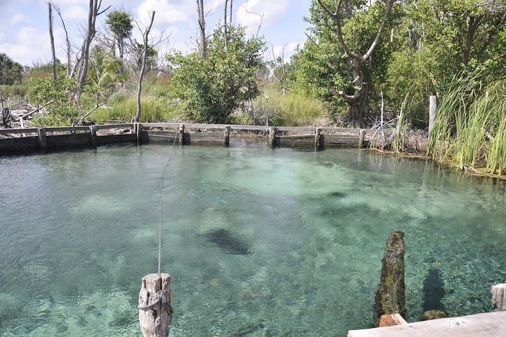 Holbox Day Trip from Tulum: Isla Holbox, Isla Pasion & Yalahau Cenote photo 4
