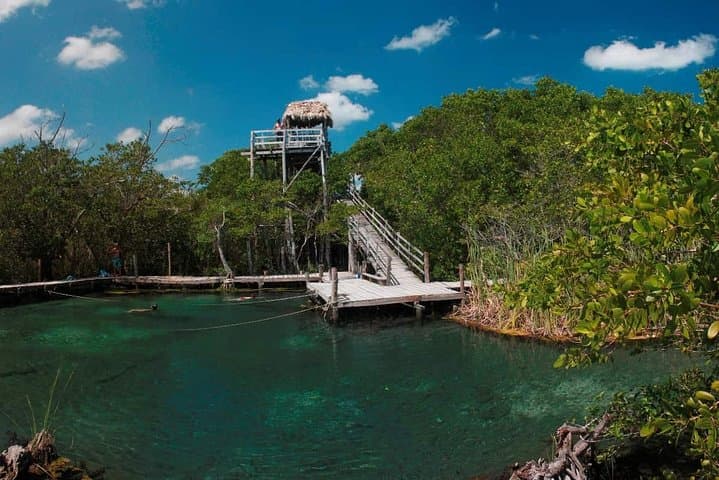 Holbox Day Trip from Tulum: Isla Holbox, Isla Pasion & Yalahau Cenote photo 3