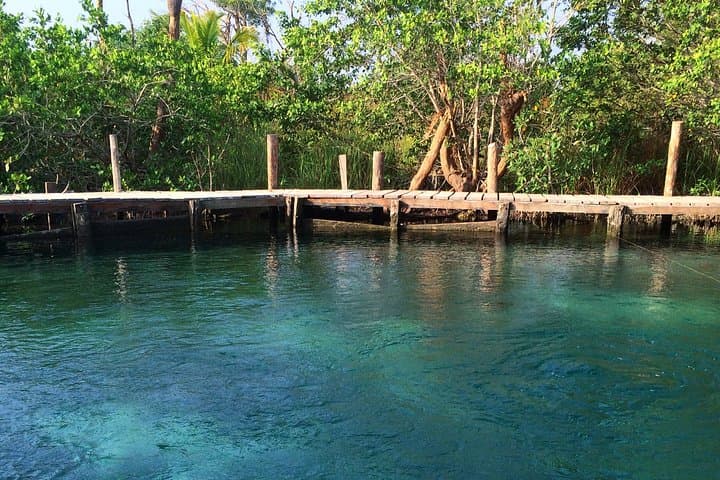 Day Trip to Holbox: Two-Island Boat Tour & Yalahau Cenote from Cancun photo 3