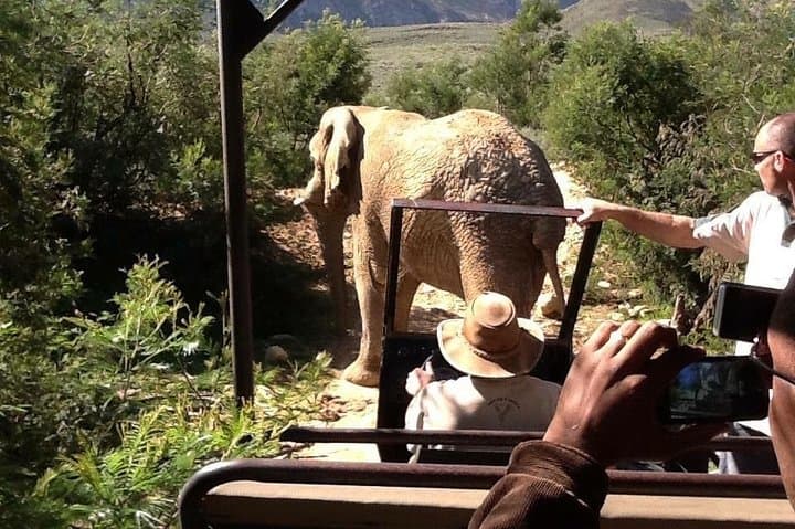 3-Day-Private-Kruger-Safari-from-Johannesburg-Big-5-Game-Drive photo 1