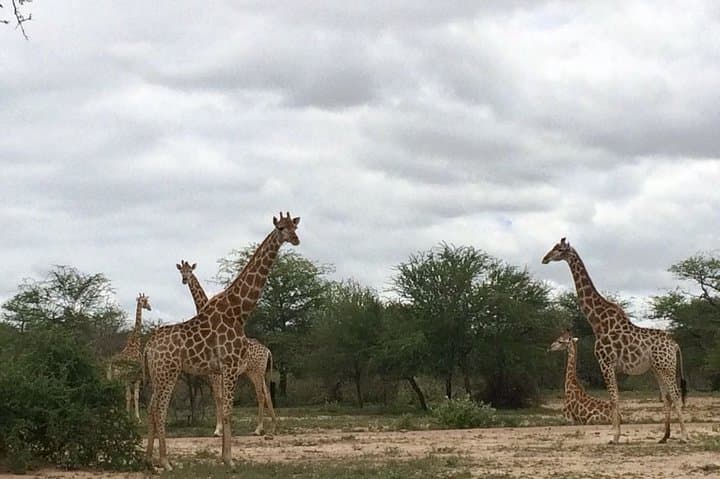 7-Day Private Kruger Safari: Big Five Drives, Blyde River & Panorama Route photo 3
