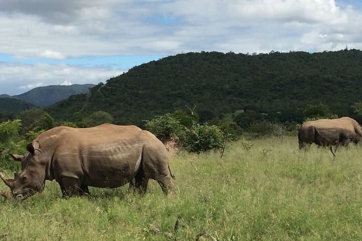 7-Day Private Kruger Safari: Big Five Drives, Blyde River & Panorama Route photo 4