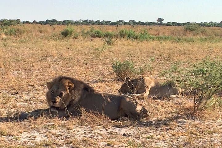 7-Day Private Kruger Safari: Big Five Drives, Blyde River & Panorama Route photo 6