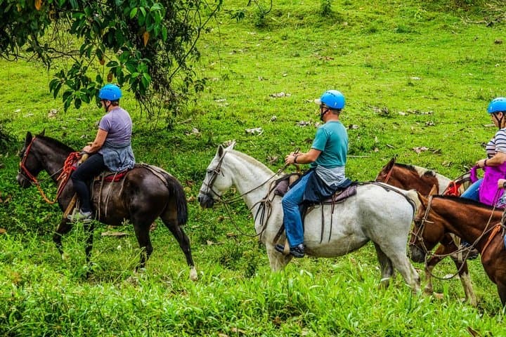 Horseback Riding at Arenal Volcano Foothills — Lagoon Crater & Arenal Viewpoint photo 6