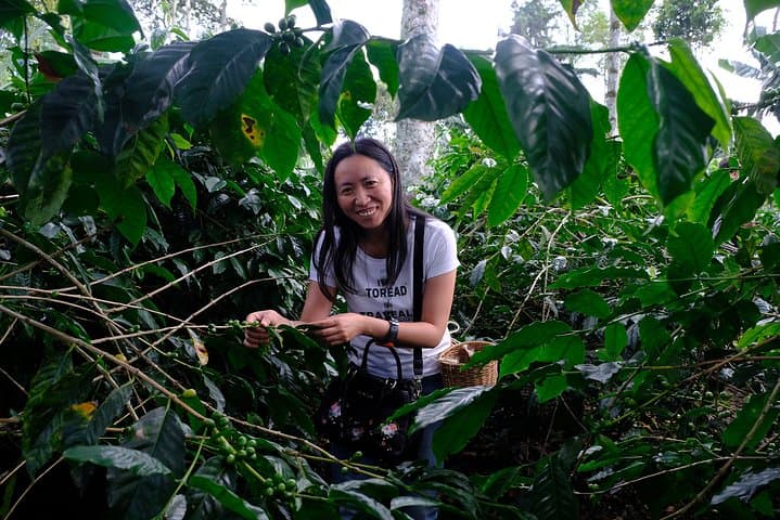 Authentic Coffee Farm Experience from Bogota — Private 7‑Hour Farm Tour photo 6