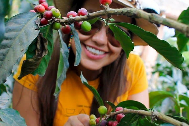Authentic Coffee Farm Experience from Bogota — Private 7‑Hour Farm Tour