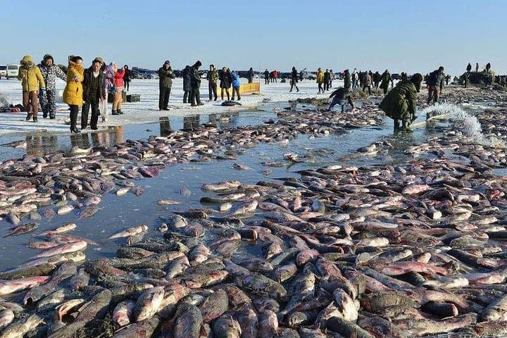 Chagan Lake Winter Fishing: 2-Day Private Tour from Harbin photo 4