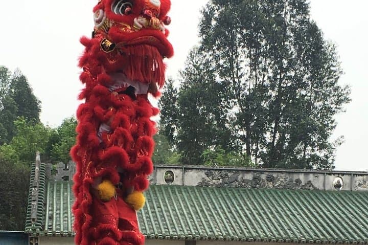 Half-Day Foshan Kungfu Workshop from Guangzhou — Private Class with a Local Master photo 3