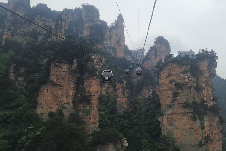 Zhangjiajie to Chengdu: 5-Day Private Tour of Peaks, Pandas & the Leshan Buddha photo 5