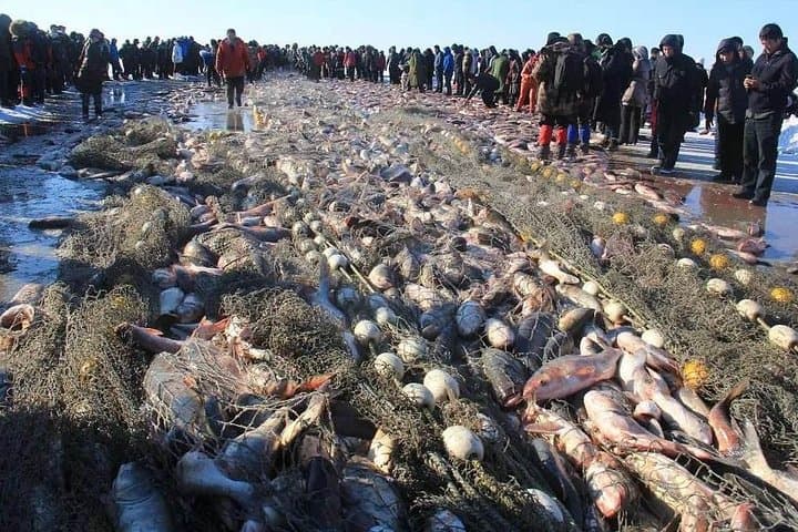 Chagan Lake Winter Fishing: 2-Day Private Tour from Harbin photo 5