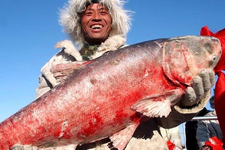 Chagan Lake Winter Fishing: 2-Day Private Tour from Harbin photo 6