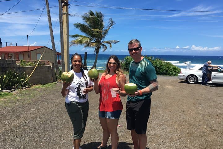 North West Adventure Puerto Rico — Full-Day West Coast Explorer from Arecibo to Aguadilla photo 2